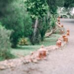Long narrow pathway going through lush plants with green foliage growing in park