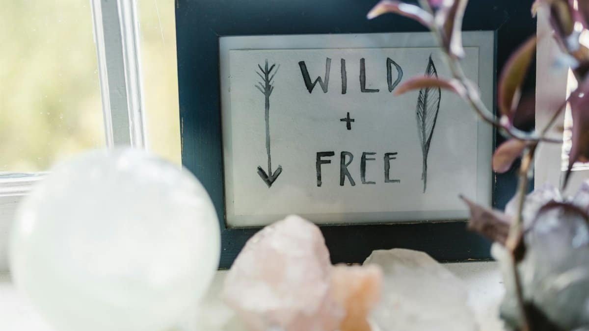 A serene setup featuring crystals and a sign reading "Wild + Free" in a sunlit space.