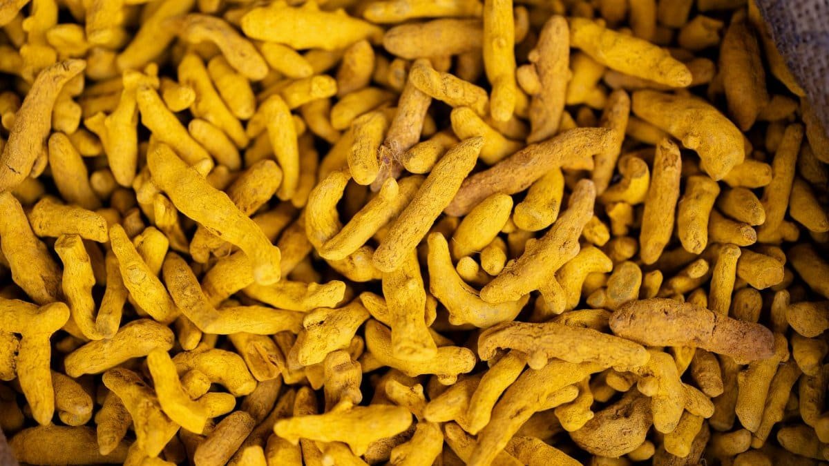 Detailed view of turmeric roots in a market setting, showcasing their vivid yellow color.