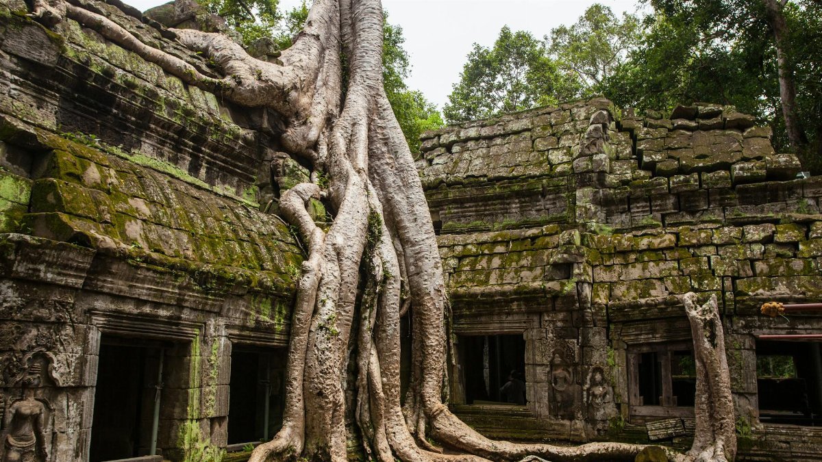 Ancient Ta Prohm temple with massive tree roots in Siem Reap, Cambodia.