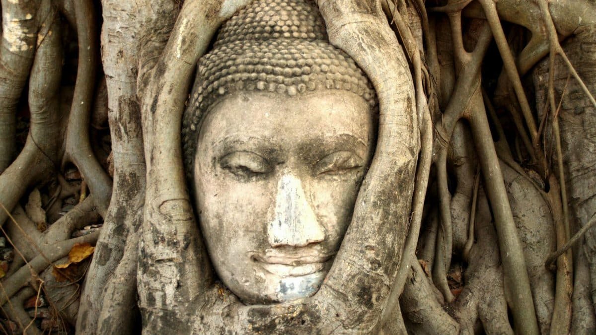 Buddha head entwined in tree roots at Wat Mahathat, Ayutthaya, Thailand.