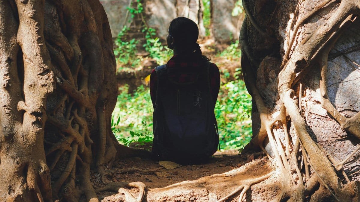 A person sits among large entwined tree roots, capturing a serene moment in nature.
