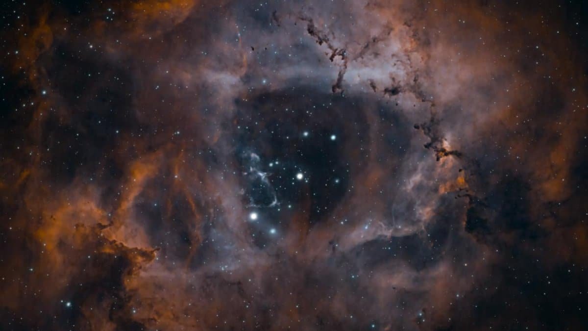 NGC 2238 - Rosette Nebula - narrowband