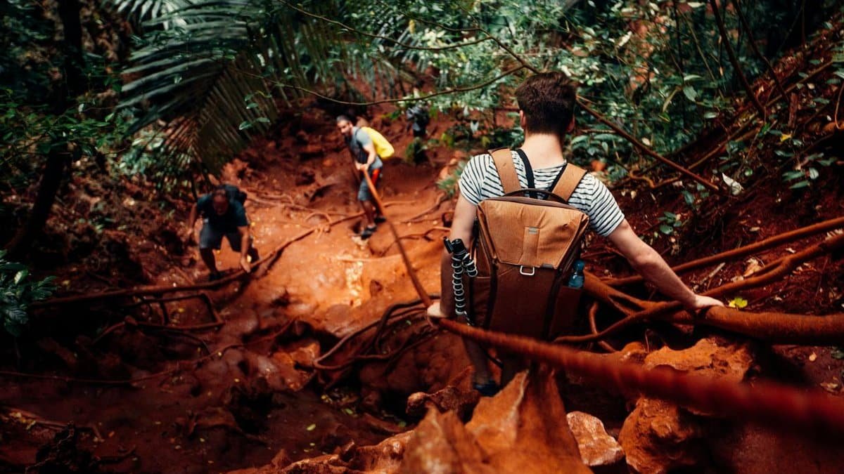 Three hikers with backpacks climbing a steep rocky forest path using ropes, showcasing adventure and teamwork.