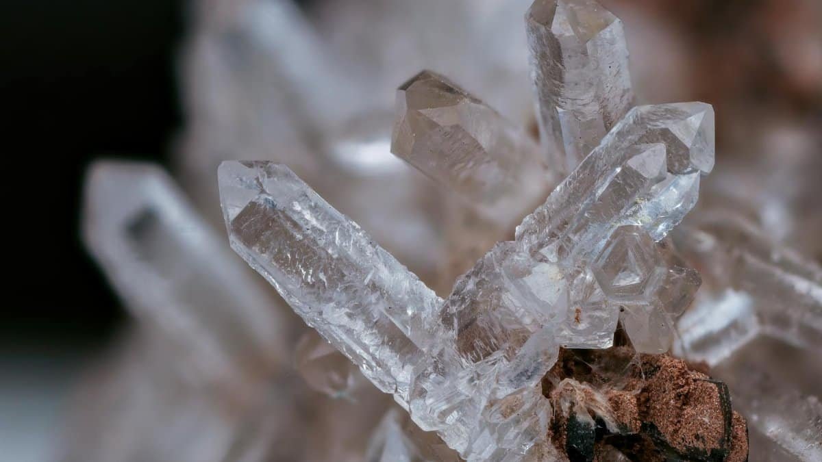 Detailed macro image of a clear quartz crystal cluster with earthy background.