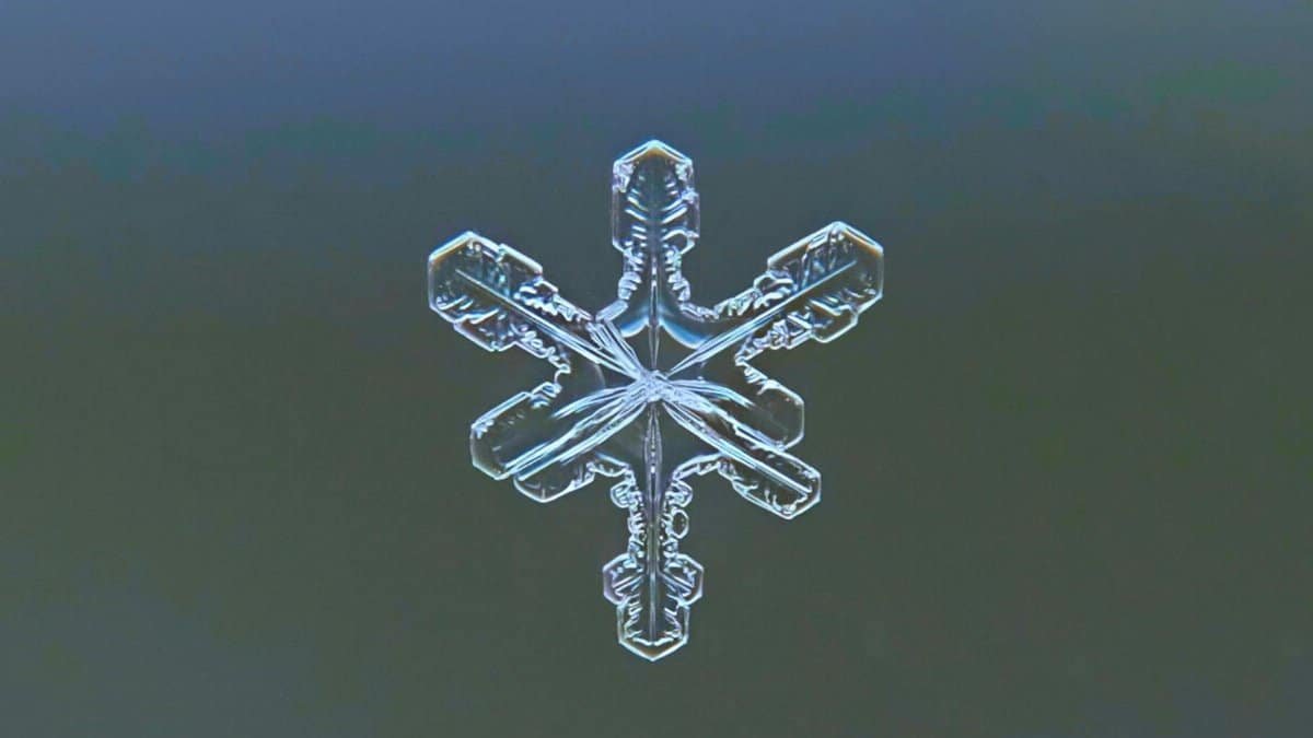 The silence of Winter