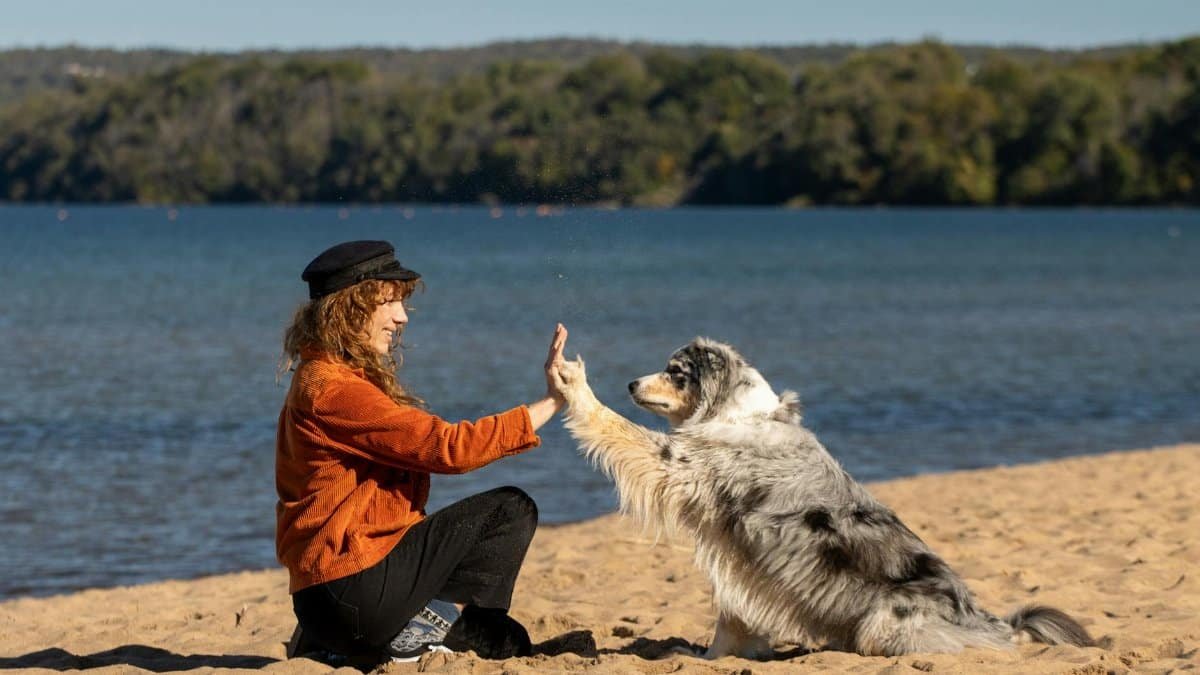 Free stock photo of 2025, 4k photo, adult