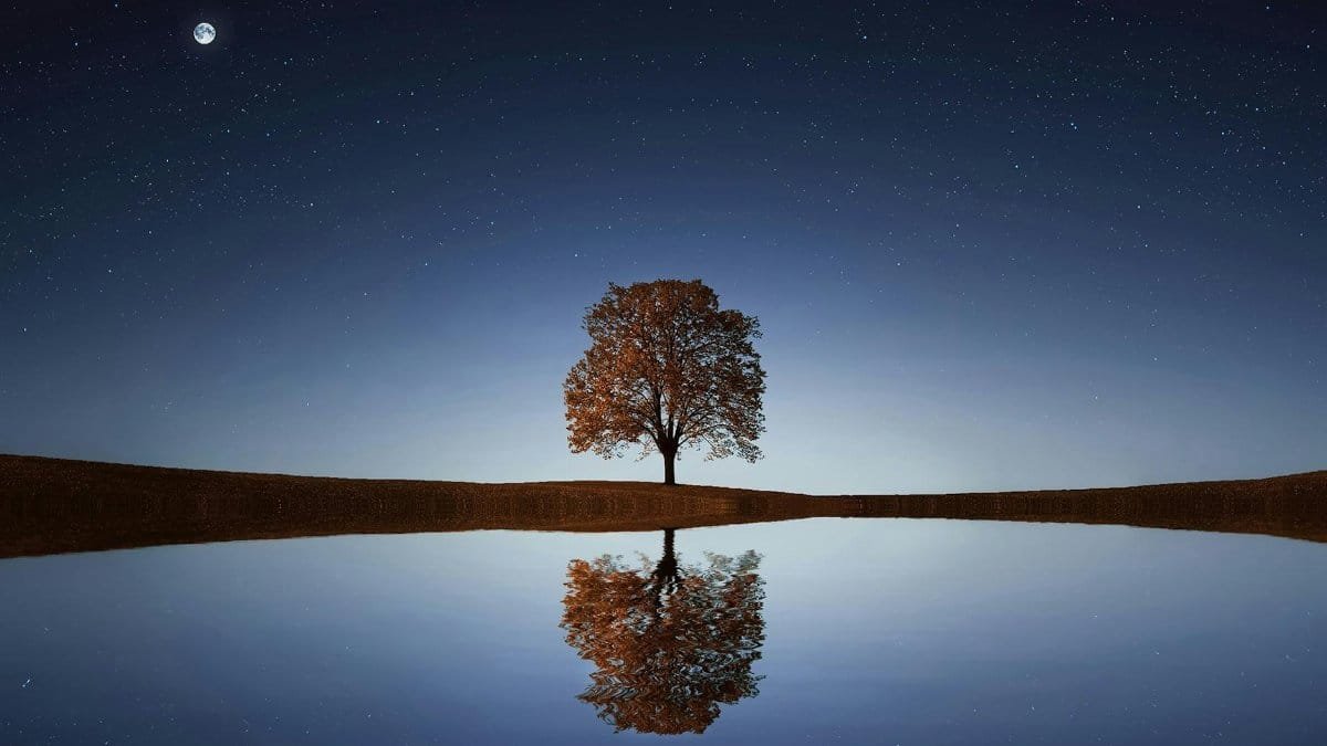 Serene night landscape with a solitary tree reflecting in calm waters beneath a starry sky.