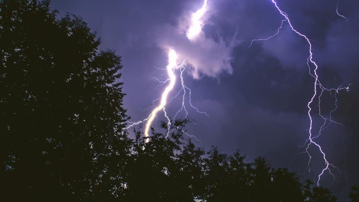 Capture of a powerful lightning storm illuminating the night sky, with silhouettes of trees.
