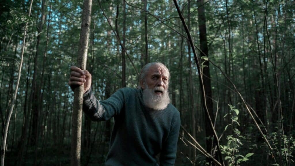 Elderly man with grey beard exploring a lush forest, holding a wooden staff.