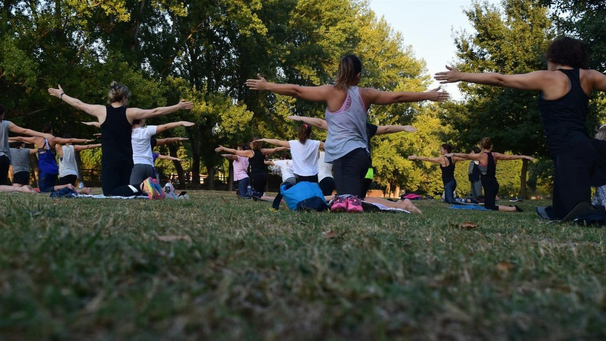 Group of adults practicing yoga outdoors in a park surrounded by trees.