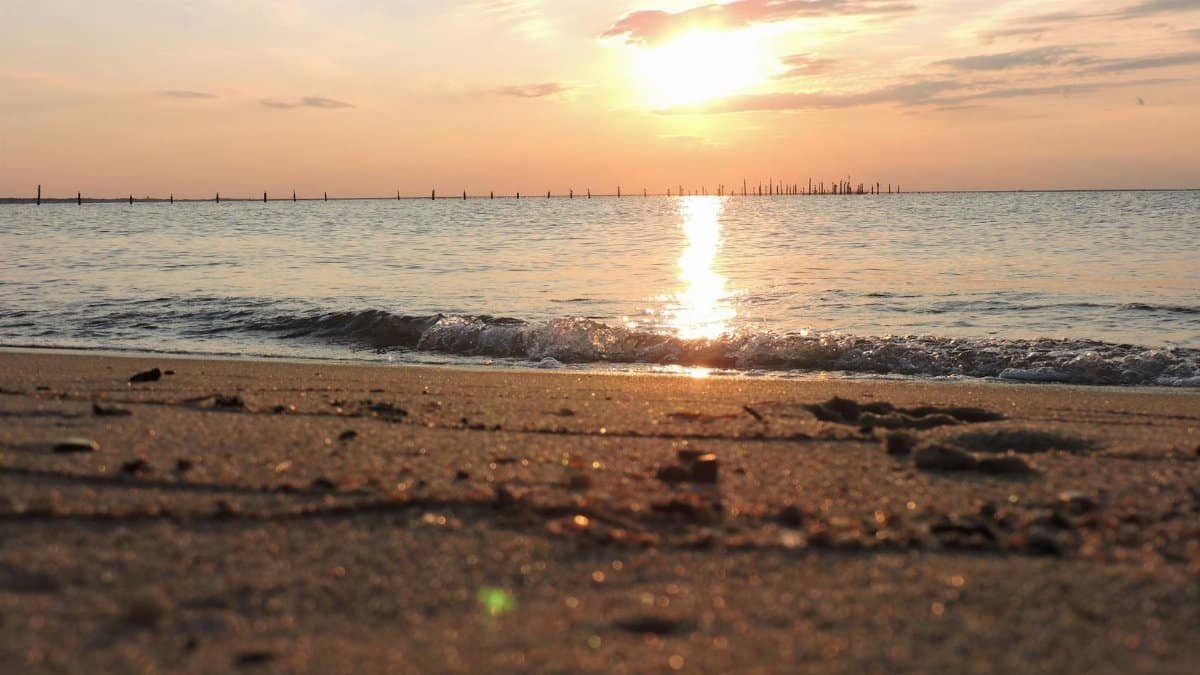 Golden sunset over a peaceful VA beach with gentle waves and serene sky reflection.
