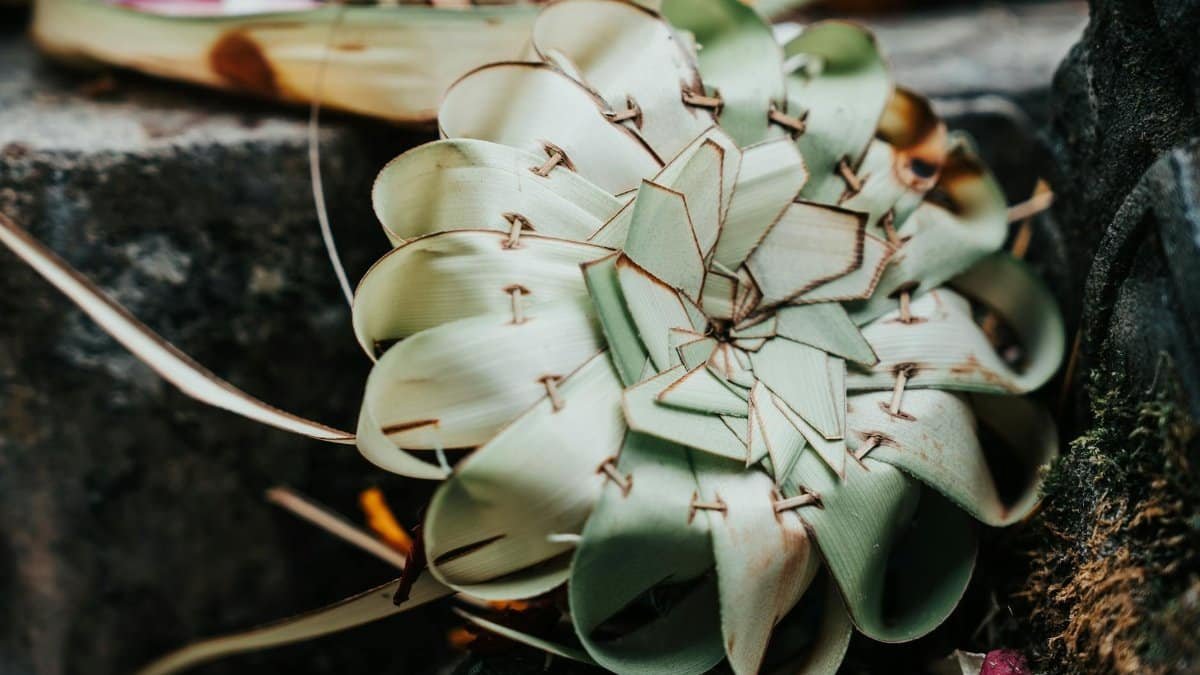 Close-up of a traditional Balinese offering made from intricately woven leaves, symbolizing gratitude.
