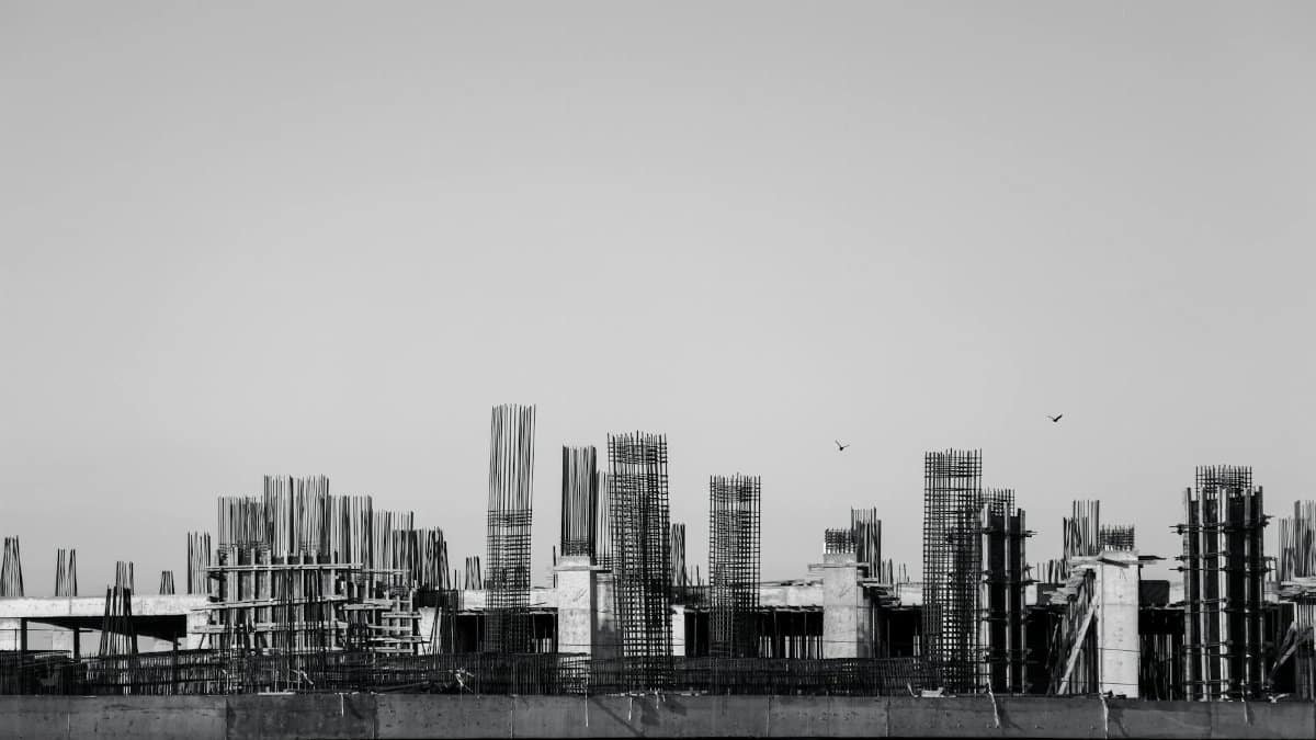 Black and white image of a construction site with birds flying above, emphasizing industrial growth.