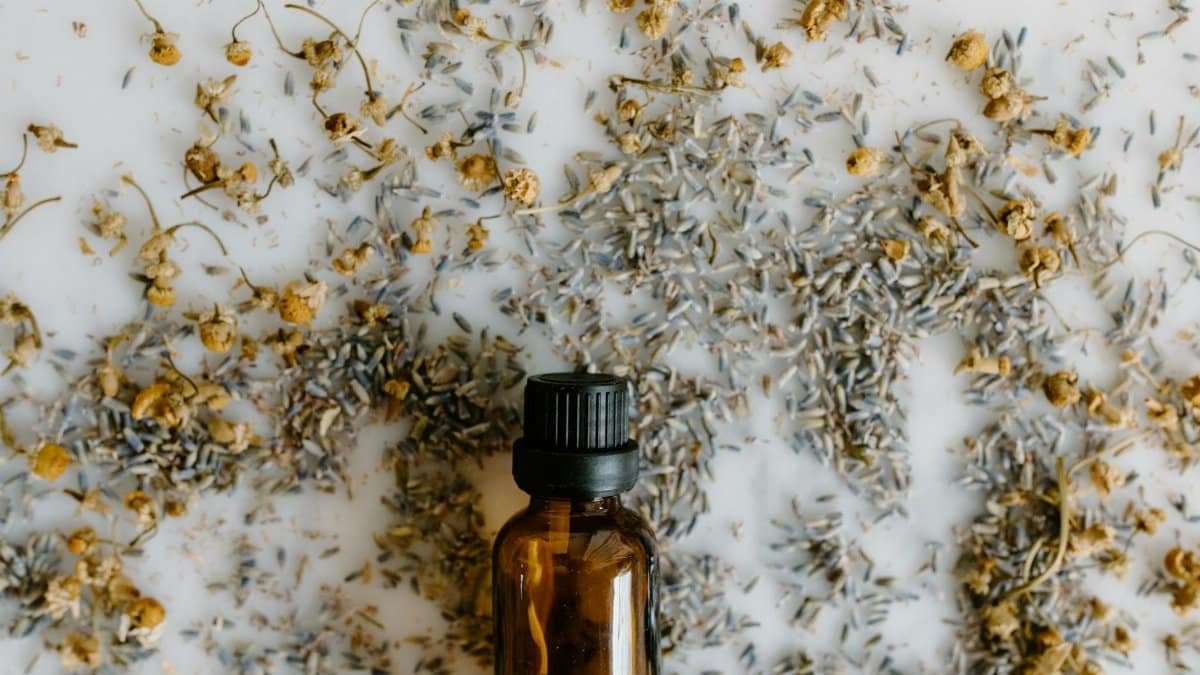 A close-up of an essential oil bottle surrounded by dried lavender and chamomile on a white surface.