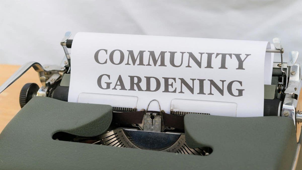 A close-up of a vintage typewriter showing the text 'Community Gardening.'