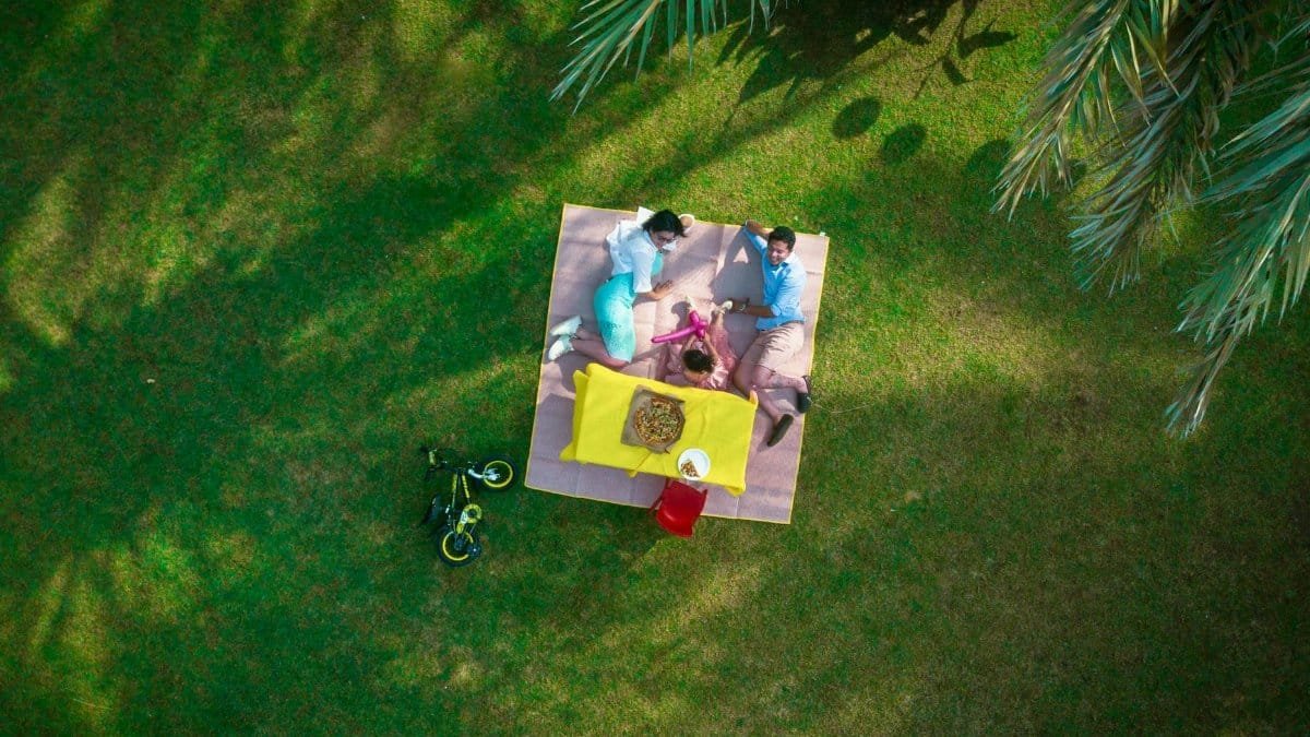 Aerial view of a family enjoying a picnic on a bright day in a Dubai park.