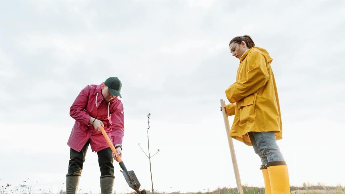 Two individuals planting a tree on a cloudy day, illustrating teamwork and environmental efforts.