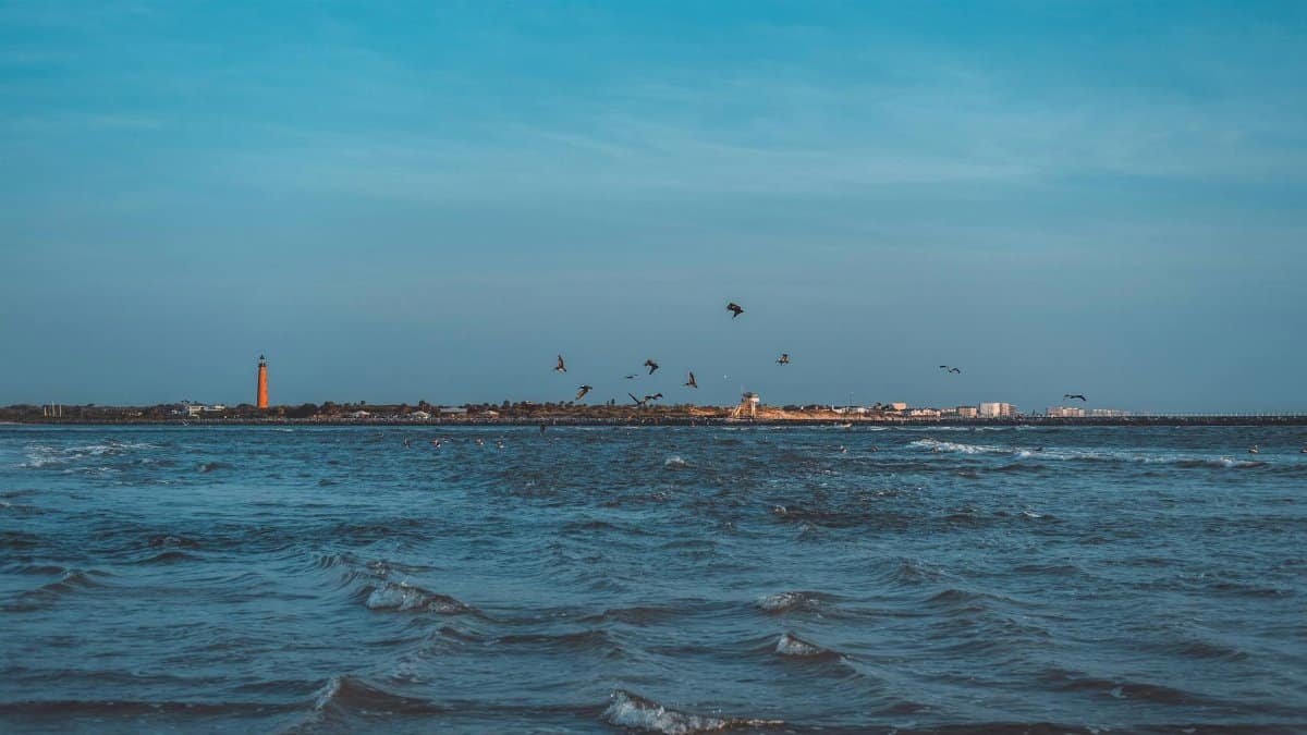 A serene ocean view with birds flying and a distant lighthouse under a clear blue sky.