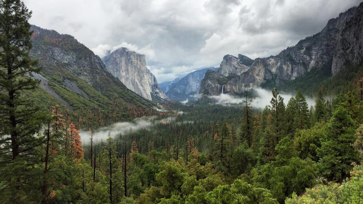 Stunning landscape view of Yosemite Valley featuring lush forests, mountains, and misty skies.
