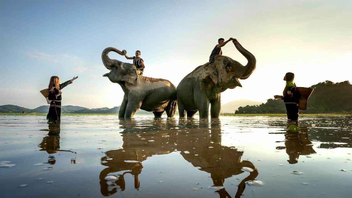 Two elephants with mahouts enjoying a bath at sunset, creating a serene wildlife scene.