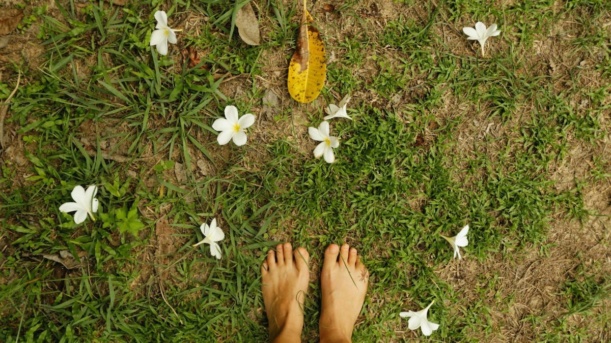 A serene view of barefoot feet on grassy ground scattered with white flowers and leaves.