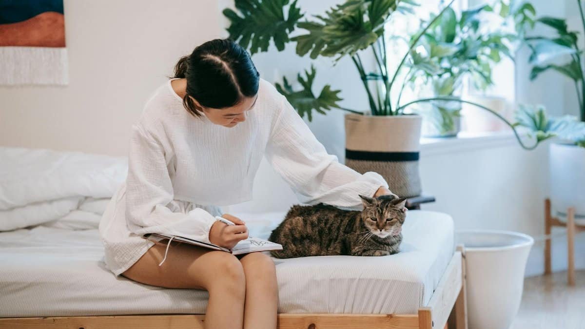 An Asian woman in a white outfit journaling while petting her cat on a bed surrounded by plants.