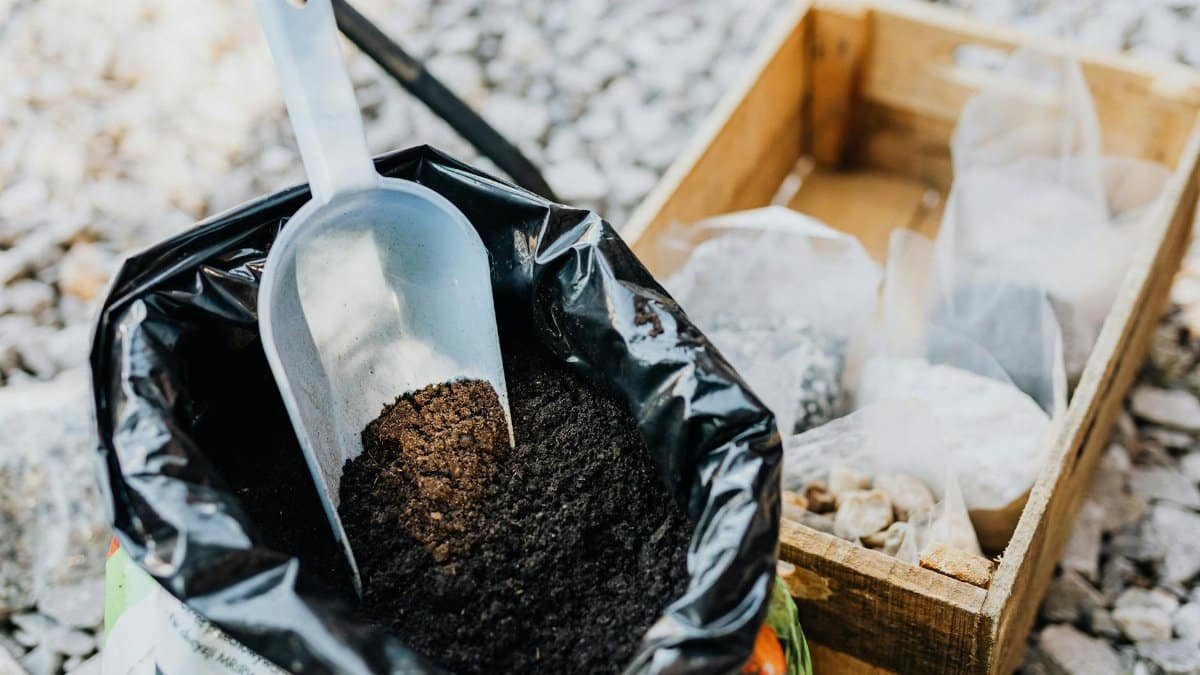 Close-up of gardening essentials with soil scoop, bag, and wooden box in garden setting.