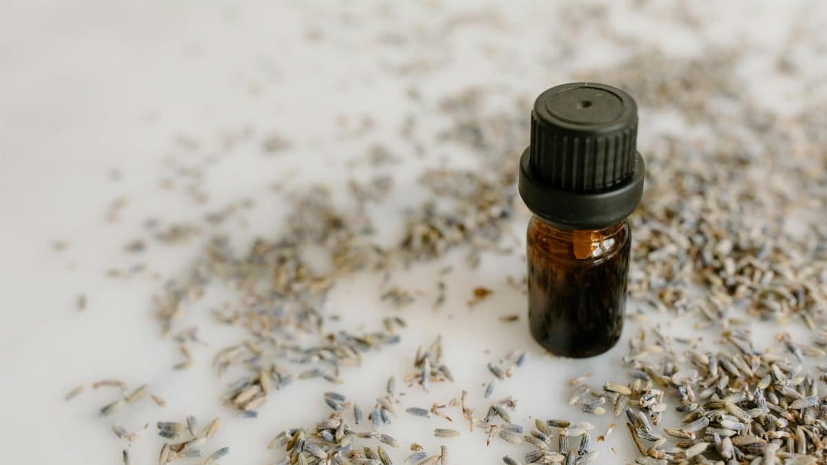 Close-up of a brown glass bottle of lavender essential oil surrounded by dried lavender flowers.