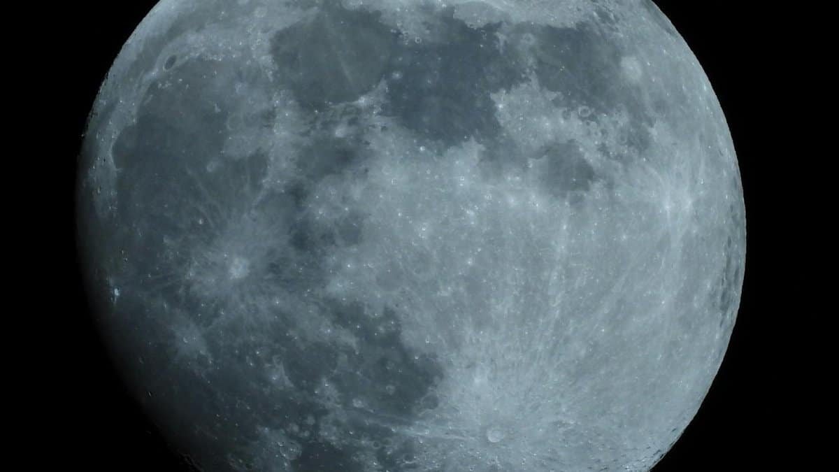 Detailed photograph of the full moon captured with precise clarity in the night sky.