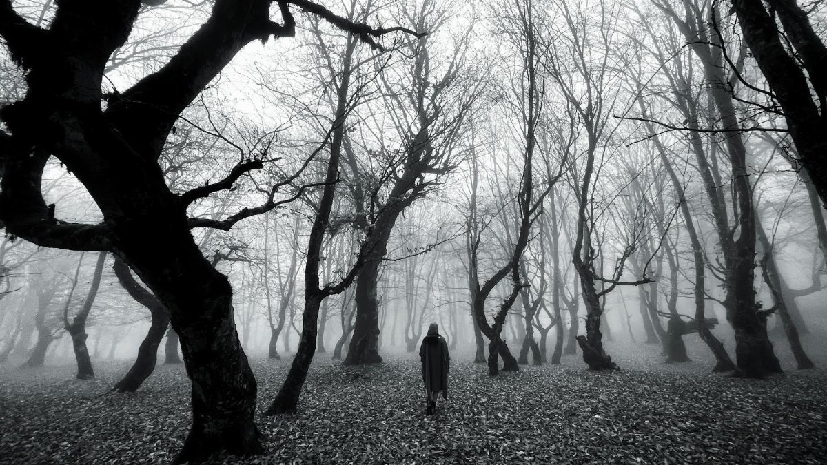 A lone figure walks through a spooky, fog-covered forest. Monochrome and eerie.