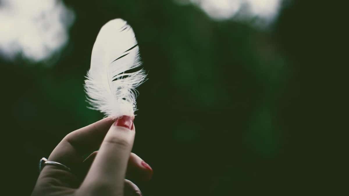 Close-up of a hand delicately holding a white feather against a dark blurred background.