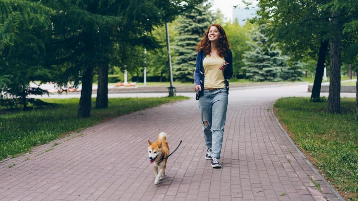 A smiling redhead woman walks her Shiba Inu dog in a green urban park on a sunny day.