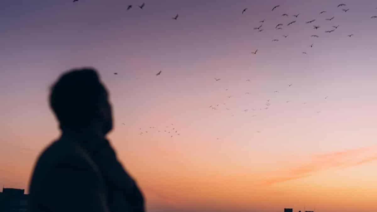 Silhouette of a man watching birds fly against a vibrant sunrise in the city.