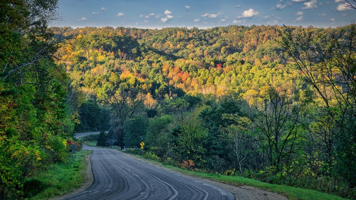A picturesque winding road through vibrant fall foliage in Nelson, WI, showcasing nature's beauty.