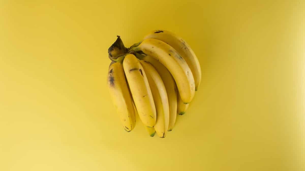 A vibrant bunch of ripe bananas on a matching yellow background, evoking freshness.