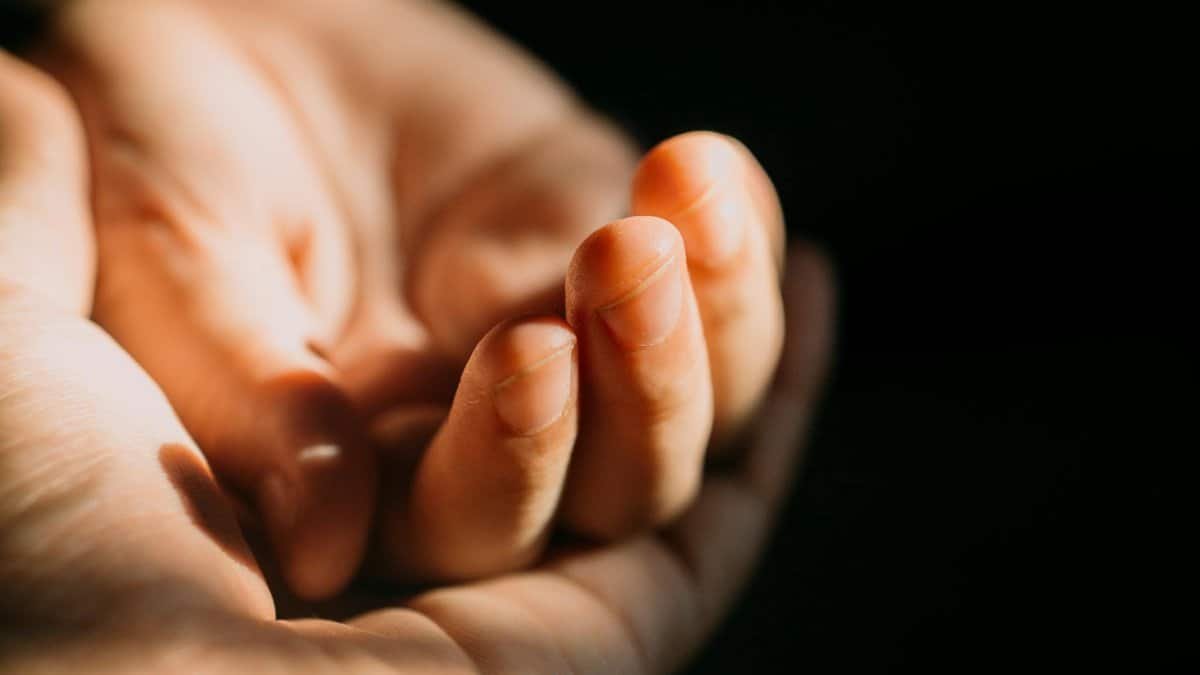 Close-up of a gentle hand basking in soft sunlight, symbolizing warmth and care.