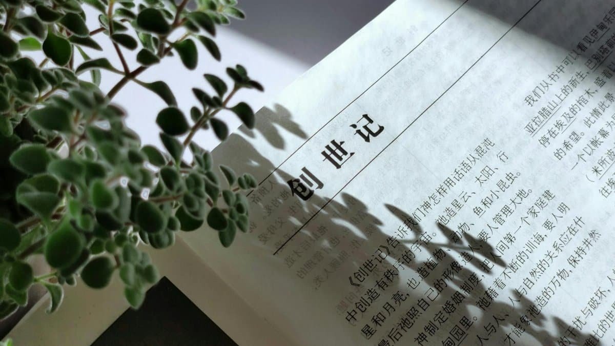Close-up of a Chinese Bible page partially covered by a plant shadow.