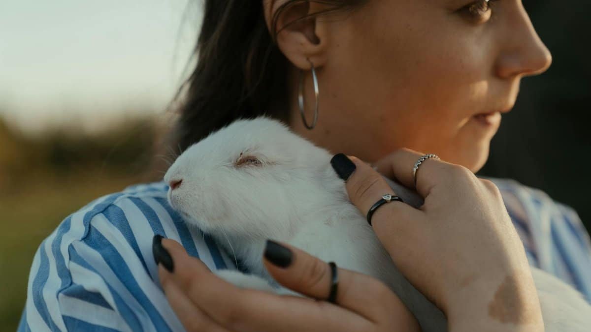 A woman gently holding a white rabbit outdoors during sunset, creating a warm and serene moment.