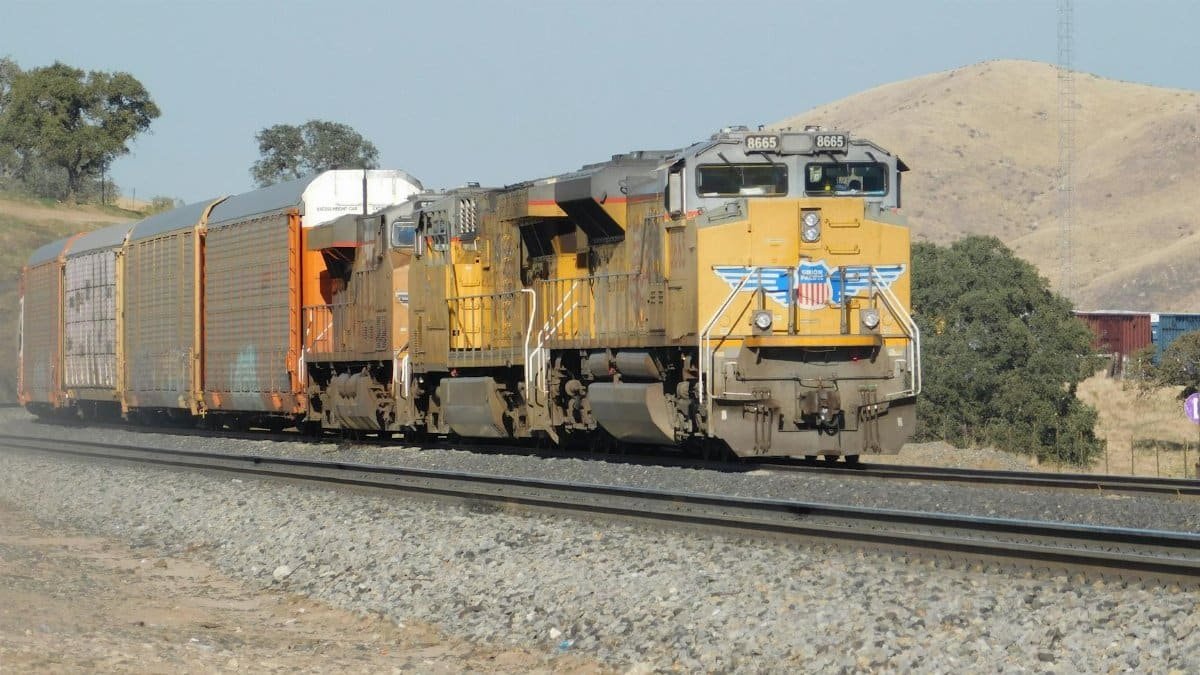 Free stock photo of 11 6 2025