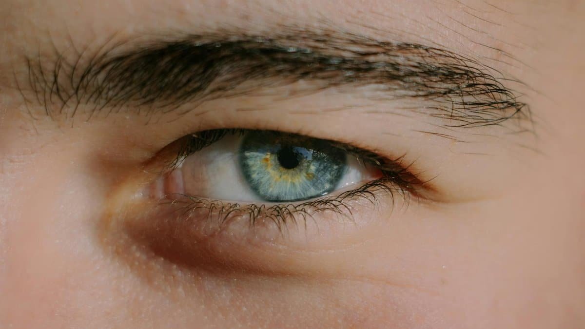 Detailed close-up image of a human eye with blue iris, capturing intricate details of the eyebrow and eyelashes.