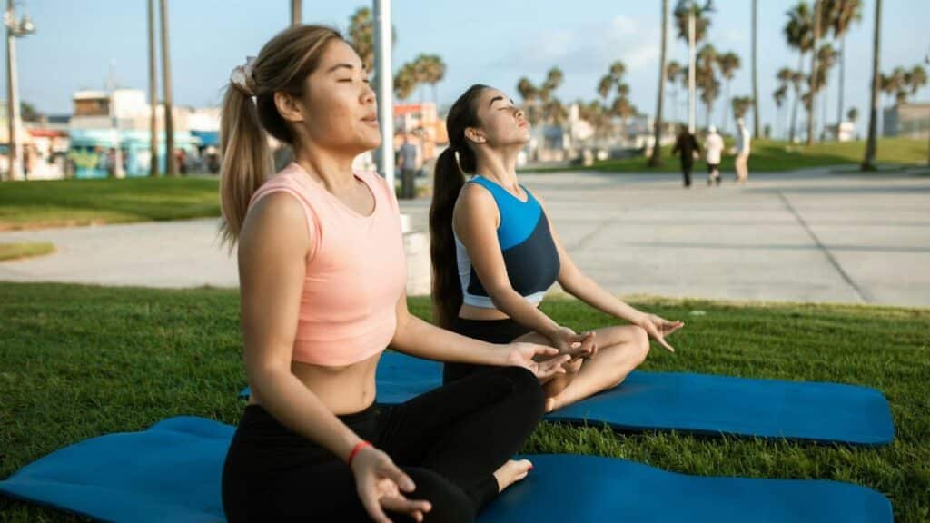 Two women meditating on yoga mats in a sunny park setting, promoting healthy living and relaxation.