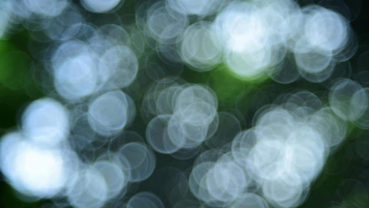 Blurred circles of light in lush green nature, creating a calming abstract bokeh effect.