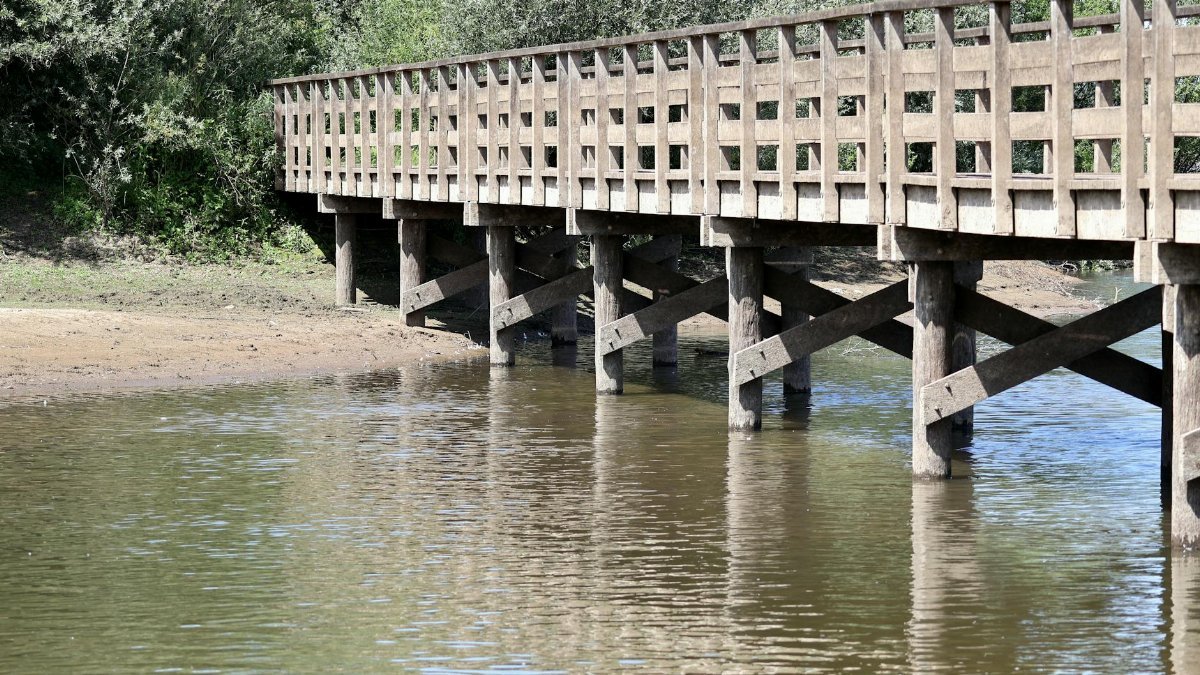 A serene view of a rustic wooden bridge spanning a calm river surrounded by lush greenery.
