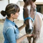 A woman in denim interacting with a brown horse in a stable setting, highlighting care and connection.