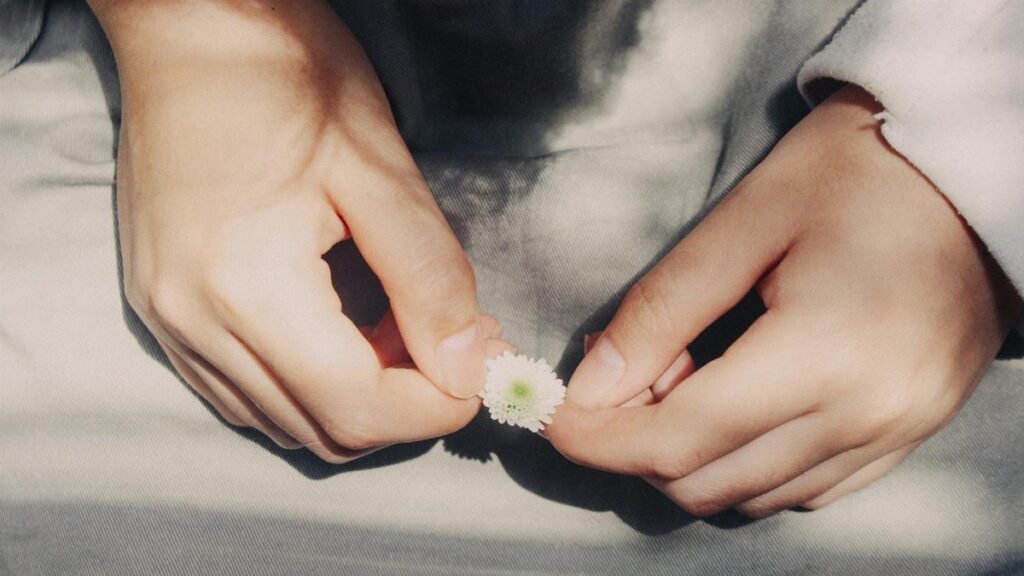 Close-up of hands holding a small white flower, bathed in soft sunlight and shadows.