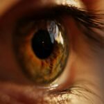 A striking macro close-up of a human eye showcasing the intricate details of the iris and eyelashes.