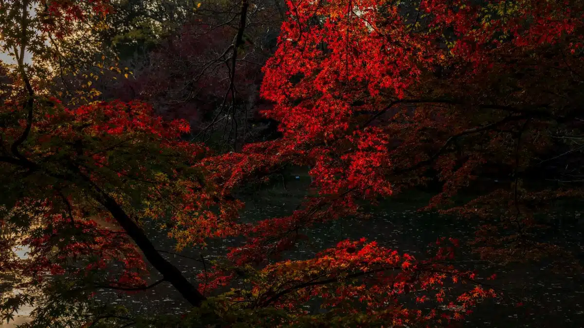 7. Frequent Headaches