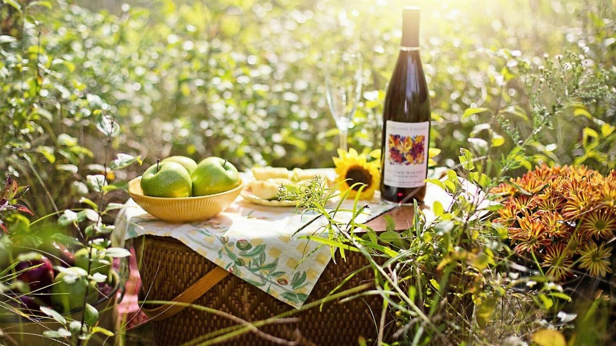 A scenic picnic setup with wine, fruits, and sunflowers in bright sunlight.