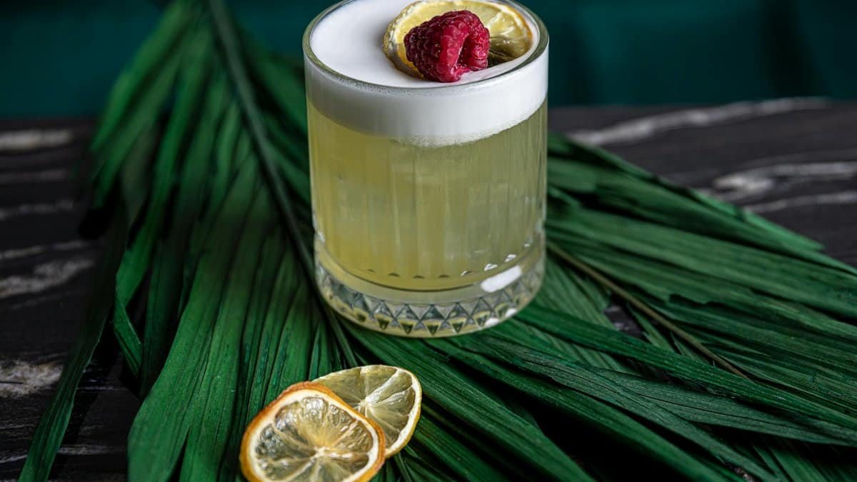 Close-up of a refreshing lemon raspberry cocktail on a vibrant green leaf background indoors.